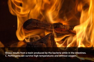 ClostridiumPerfringens1