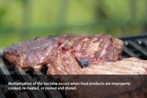 ClostridiumPerfringens2