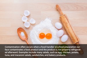Staphylococcus Aureus2