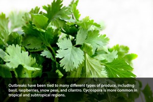 Cyclospora Poisoning2